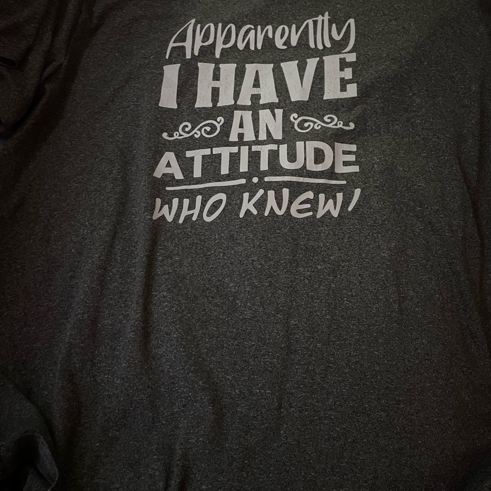 Gray Graphic T-Shirt with Attitude Quote